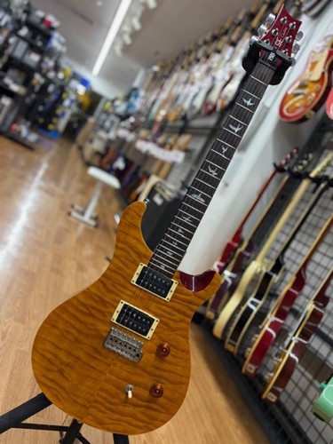 Guitare électrique prs - prs, se