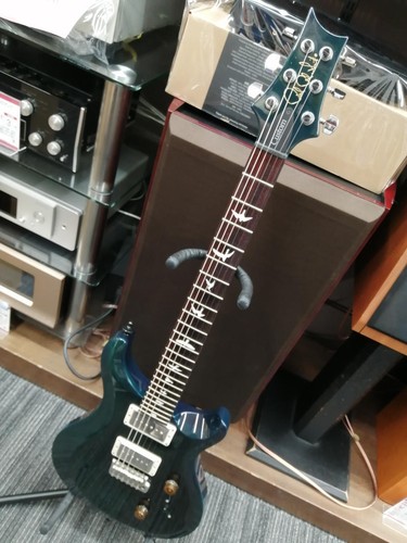 Guitare électrique paul - électrique, reed