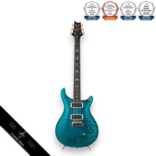 Guitare électrique prs - guitare, custom