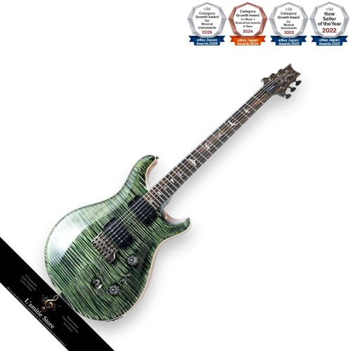 Guitare électrique prs - guitare,